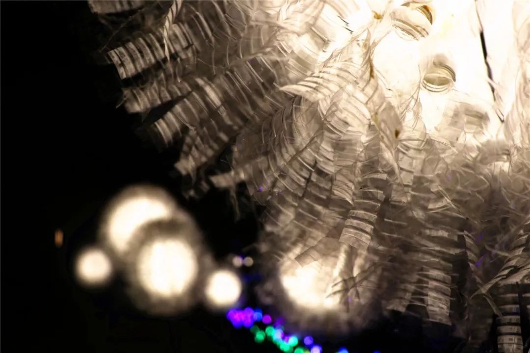 美美美!现在起到10月底,佛山这个超靓灯会喊你来约会,免费!