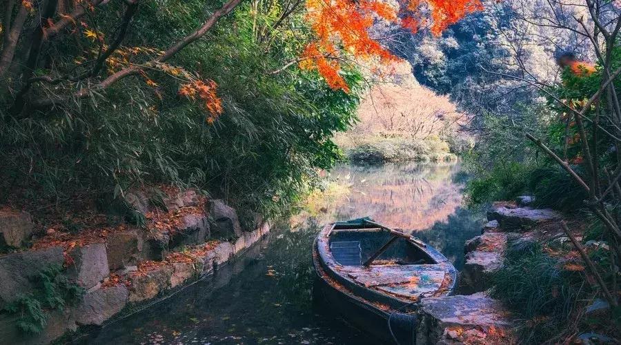 杭州中秋花式赏月,杭州中秋赏月去处