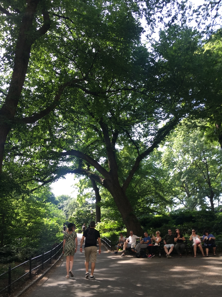 美国纽约自驾游最佳路线图,美国西部大环线自驾游攻略