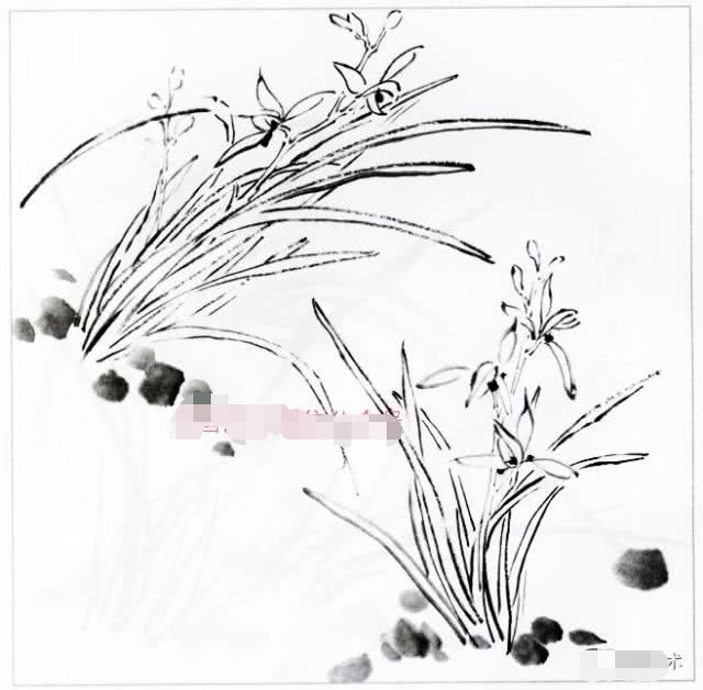 国画兰花的花头的画法,国画兰花画法小视频