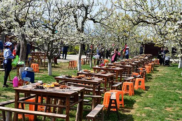 农秀才：农业农村部推荐100个休闲农业和乡村旅游精品景点线路