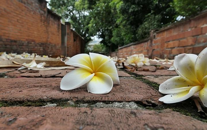 leica徕卡c-lux2多少钱,徕卡clux变焦