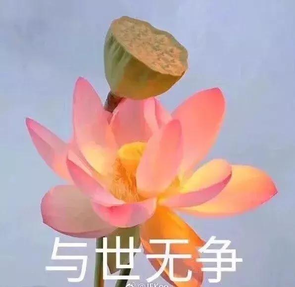 60万的包包、500万的表，网红生活把我真实看哭了