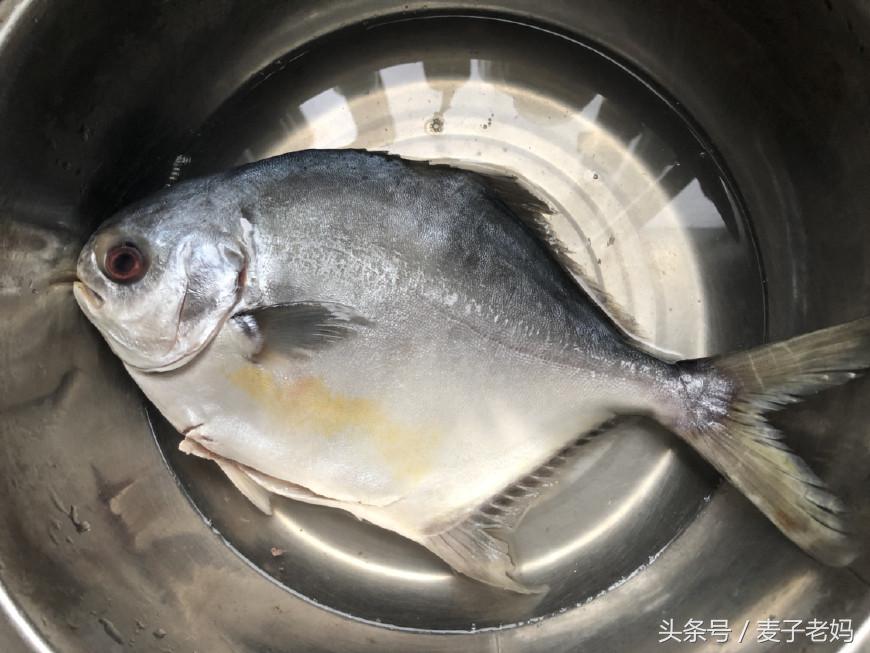 上海爆鱼正宗的鲳鱼版做法,鲳鱼这么烧绝对够味简单又快捷