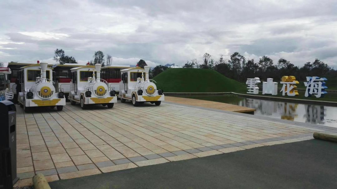 cae灞曚細,caapa灞曚細涓婃捣