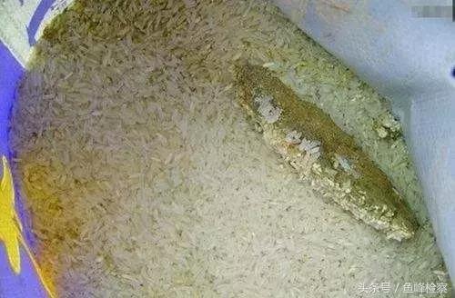 幼儿园给孩子吃过期食品园长道歉,园长给孩子吃过期食品如何处罚