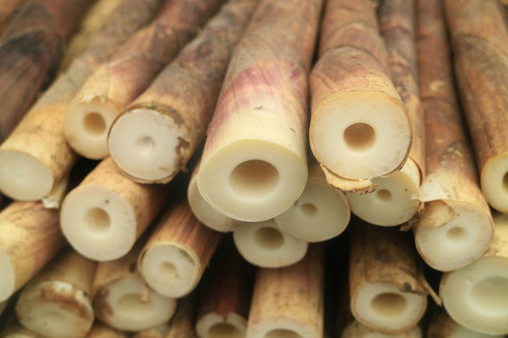 南川方竹笋哪里正宗,南川三泉镇好吃方竹笋的店推荐