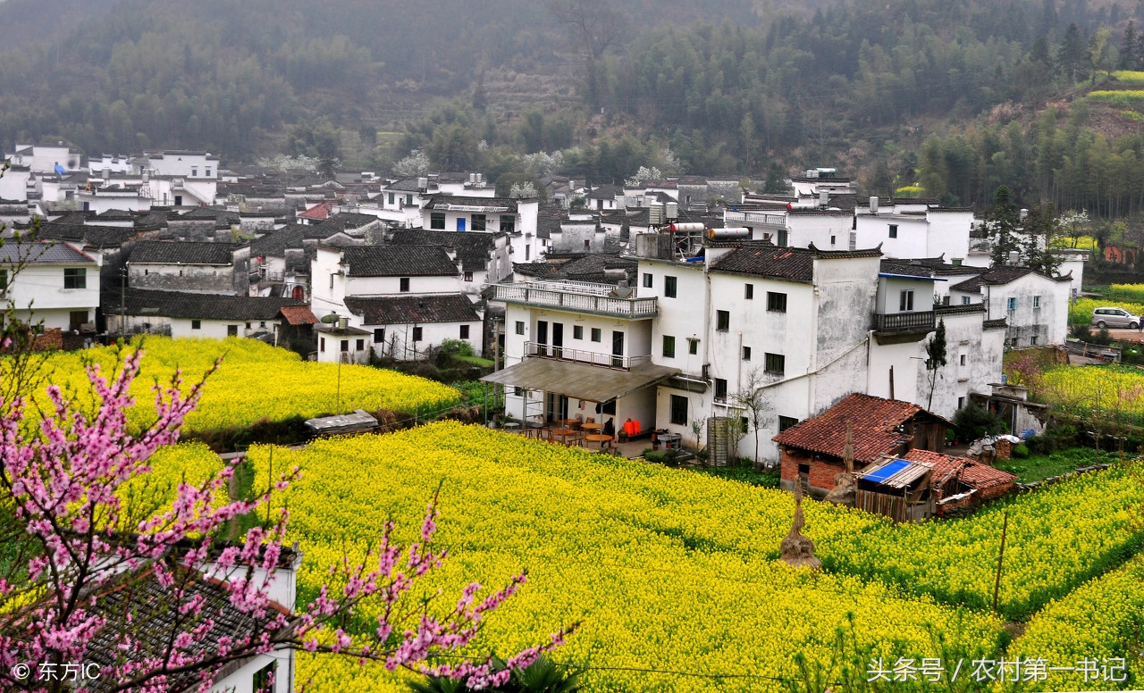 农民违建房屋强拆农民怎么办,村干部有权强拆农房吗