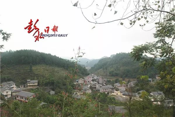 最美乡村最美的风景,最美乡村垃圾桶