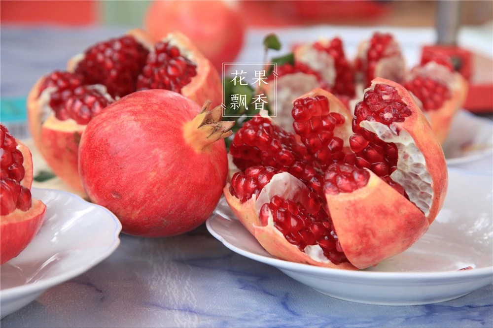 问曹老师,究竟哪些地方才适合发展软籽石榴?