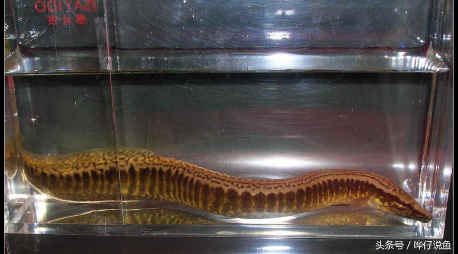 明人不说暗话下一句怎么对,明人不说暗话能有什么坏心思呢