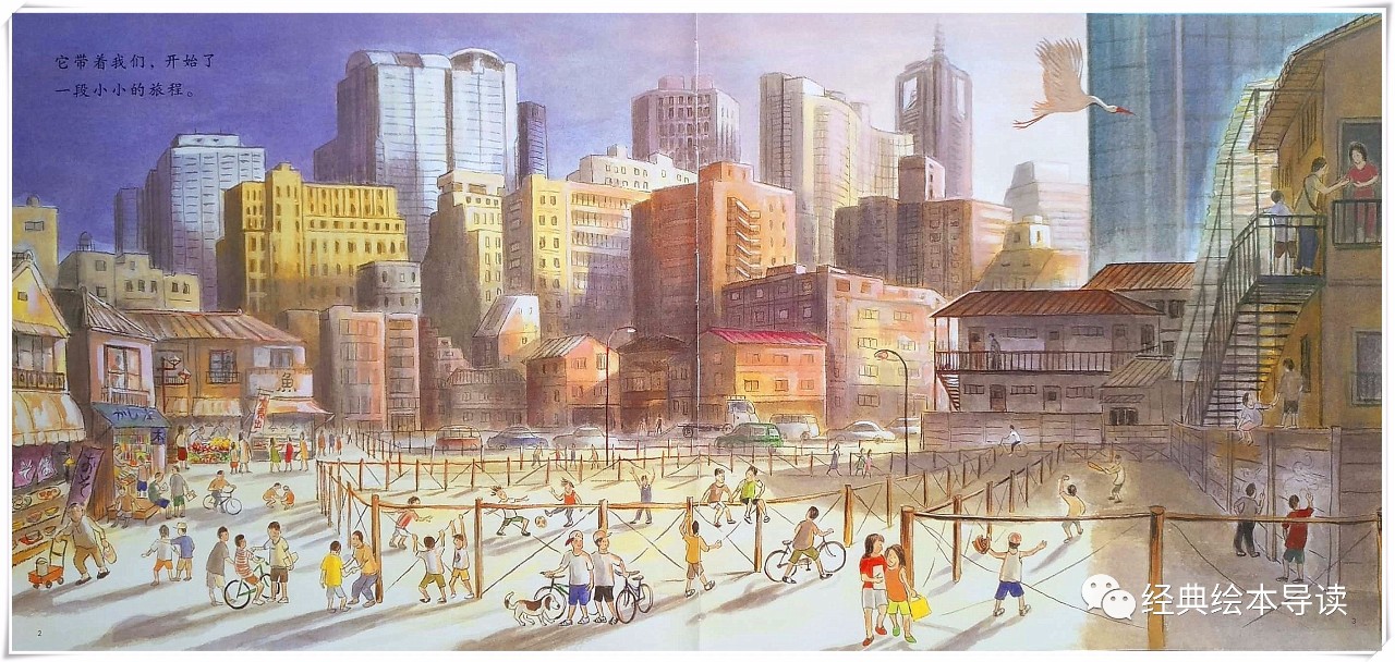 一只大鸟儿的奇妙飞行