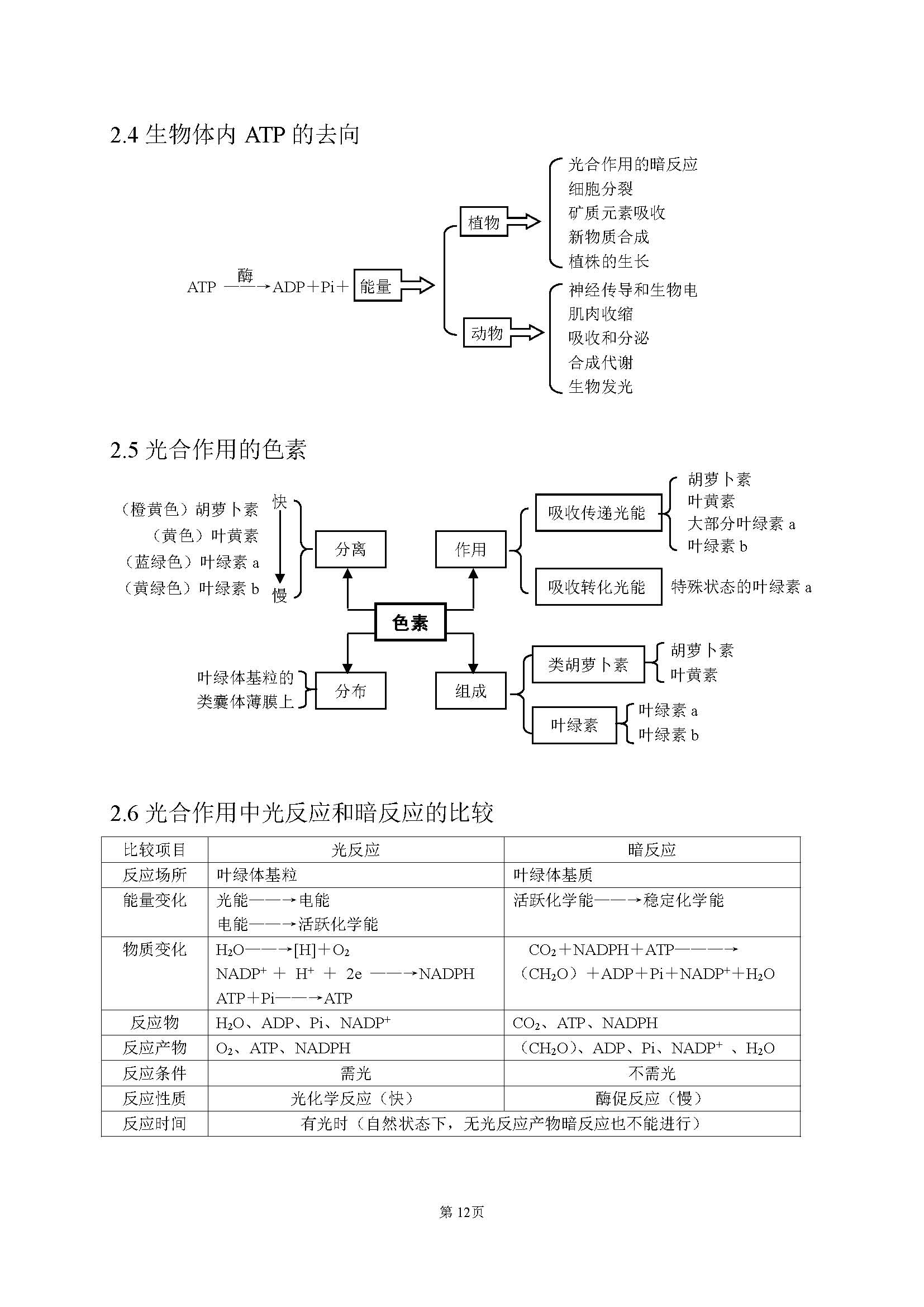高中生物最基础的知识点,高中生物简单的知识梳理