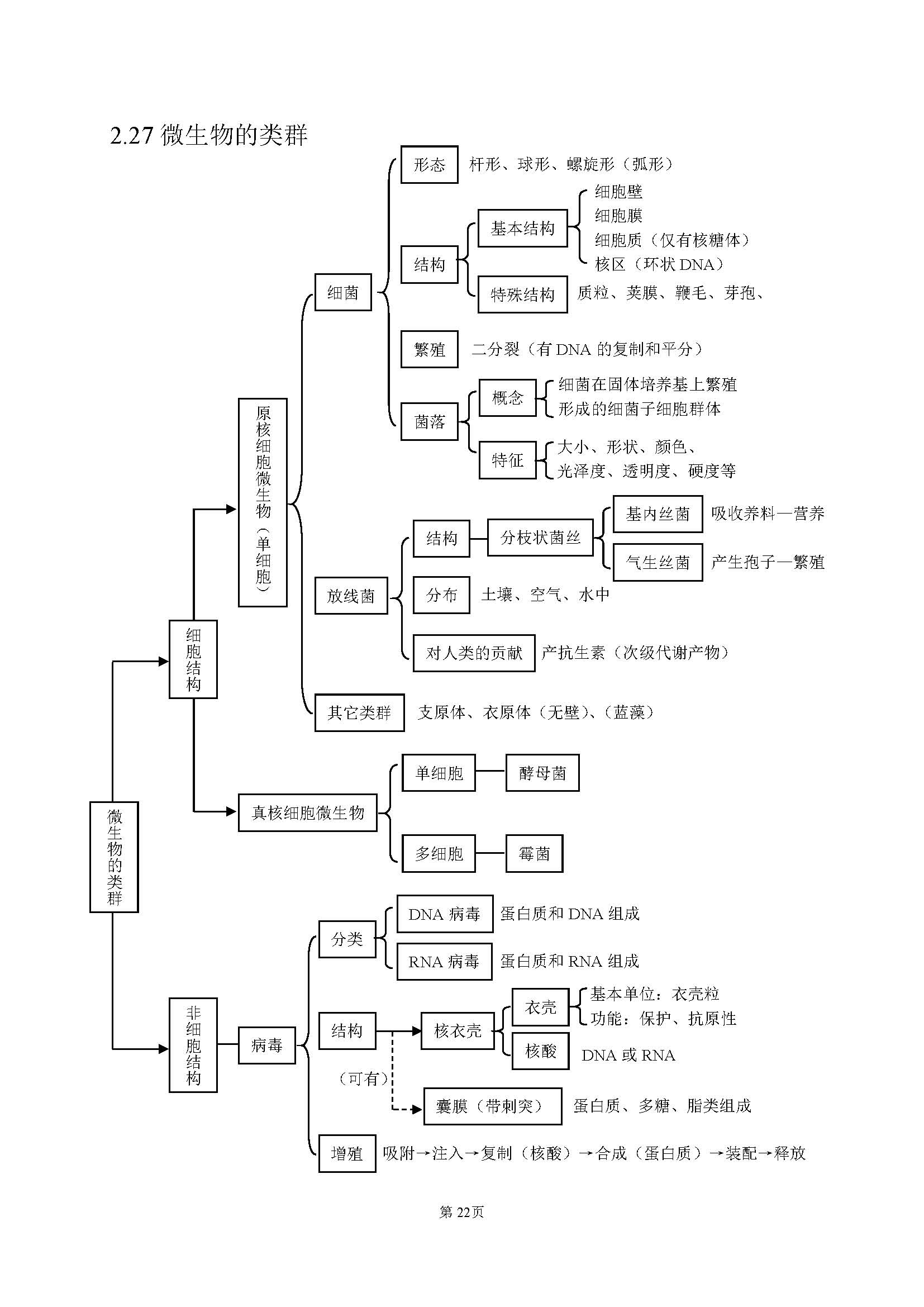 高中生物最基础的知识点,高中生物简单的知识梳理