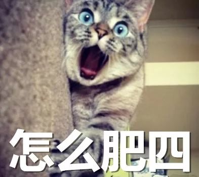 借强东大佬这档事儿，八卦下让土豪们ssfd的「仙人跳」是啥意思