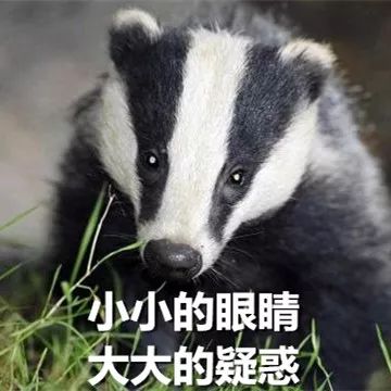 借强东大佬这档事儿，八卦下让土豪们ssfd的「仙人跳」是啥意思