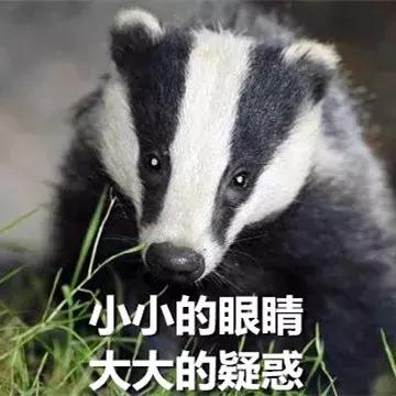 借强东大佬这档事儿，八卦下让土豪们ssfd的「仙人跳」是啥意思