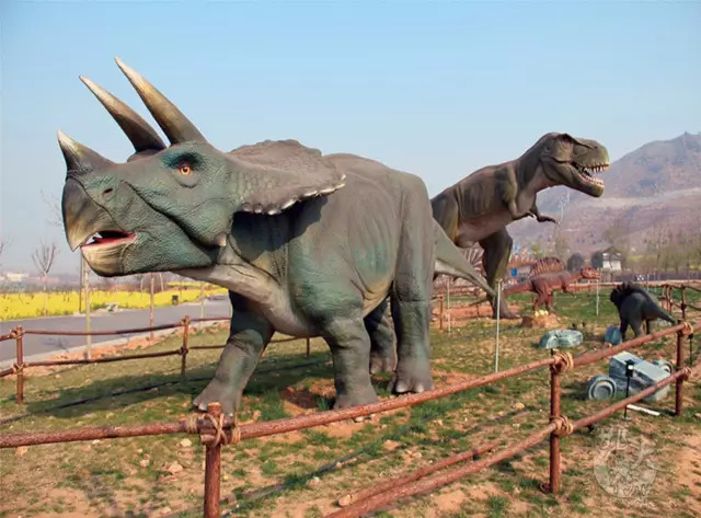 大永年大发展,大永年的夜景