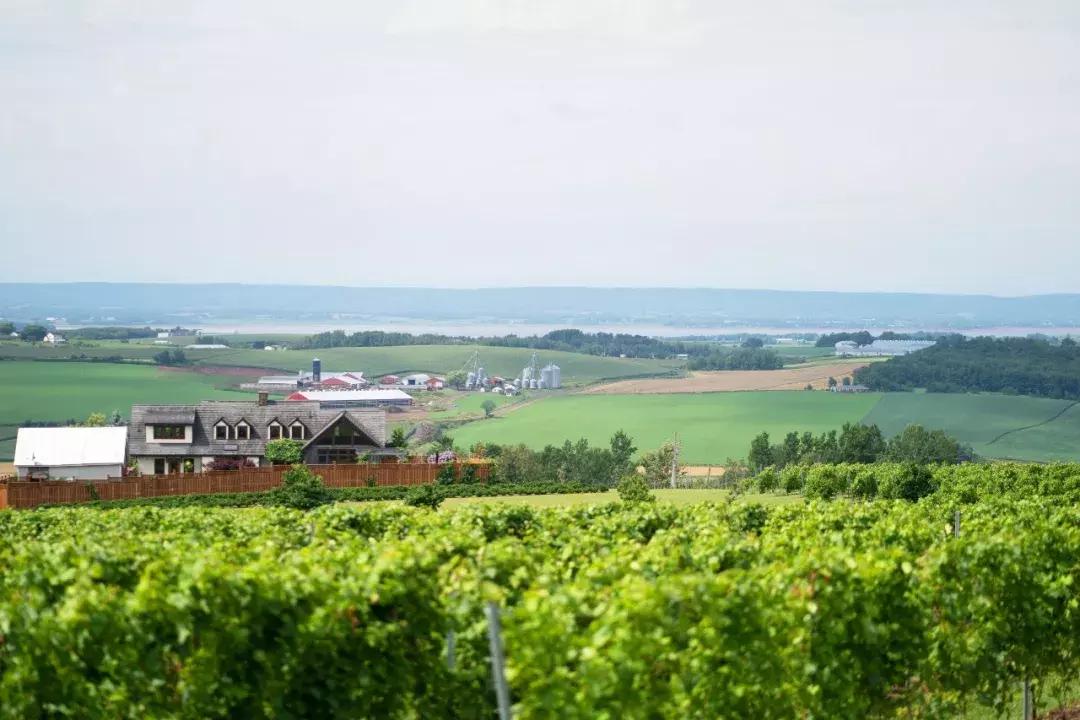 打开王潇的手账，约会加拿大新斯科舍省，遇见不一样的生活惊喜