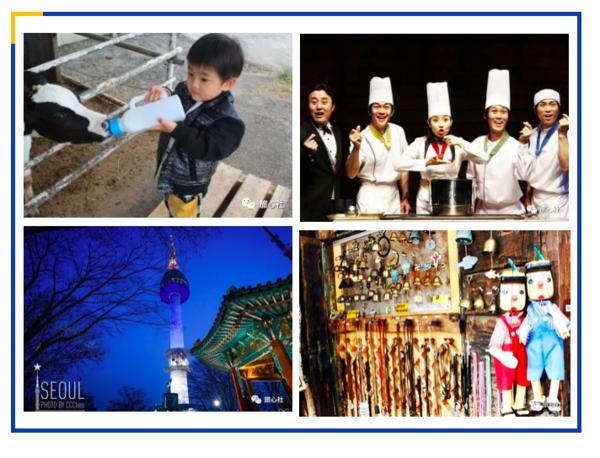 到济州岛旅行行程,济州岛一年往返12次