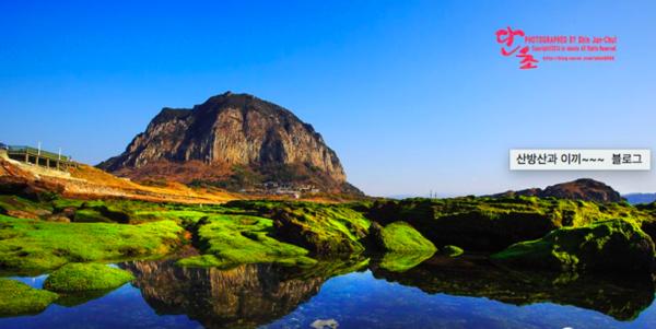 济州岛一年往返12次,到济州岛旅行行程