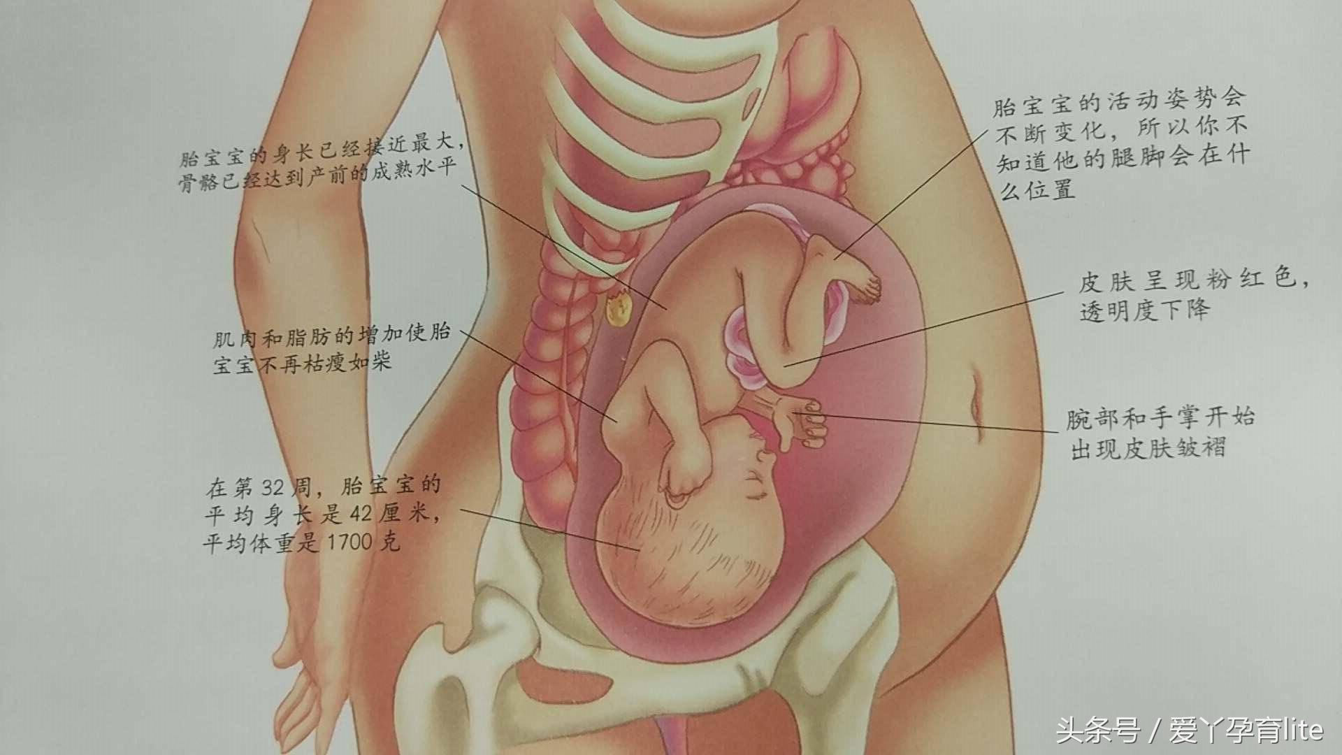 30岁孕妈该注意事项,高龄孕妇怀孕1个月成功率