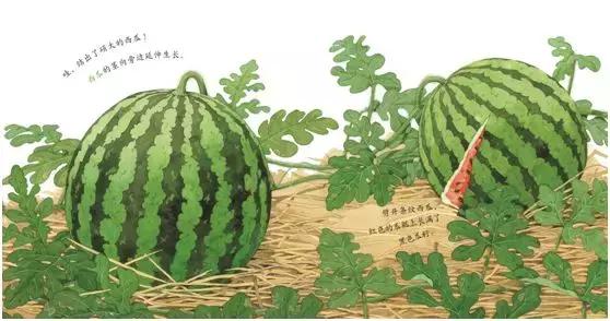 1-3岁地板书绘本,儿童绘本3-6岁套装推荐