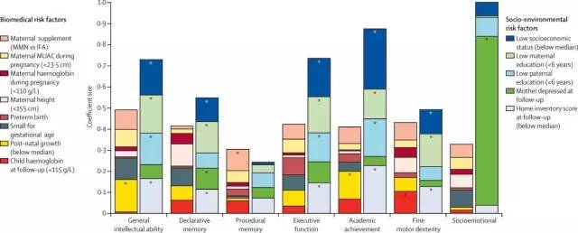 科普孕期营养,科普营养补剂