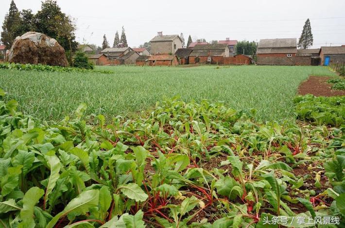 关公父子是怎么遇害的,关公败走麦城如何被杀