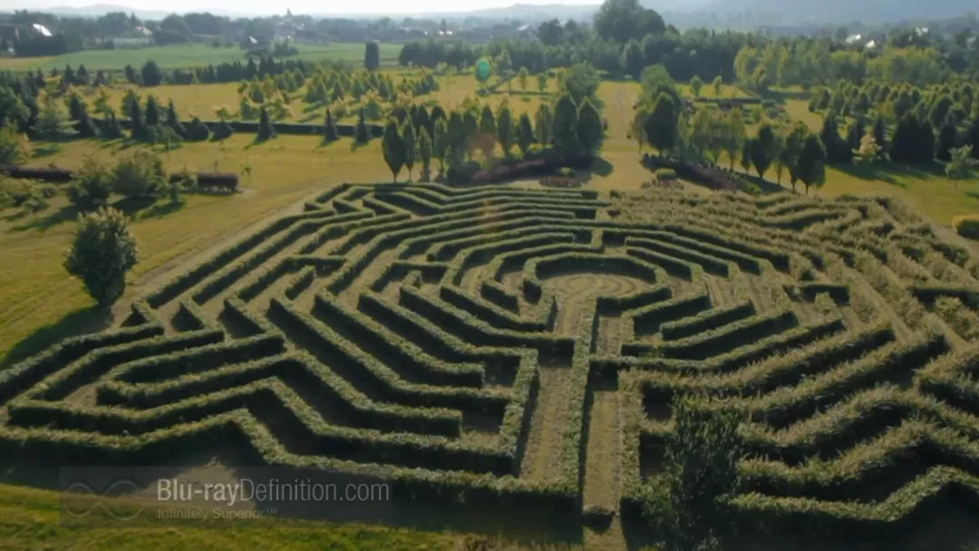 安妮索菲穆特音乐会门票,安妮索菲穆特上海献花