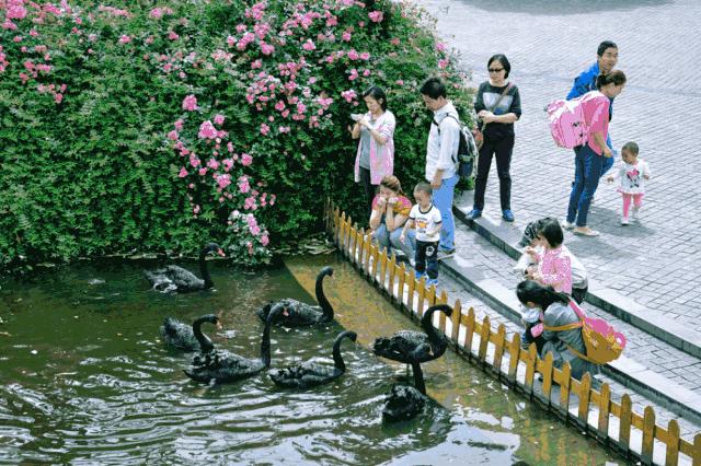 成都必备指南,成都最详细的攻略都在这了