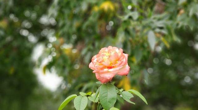 三星note9照相故障,三星note9的照相镜头最边上是什么