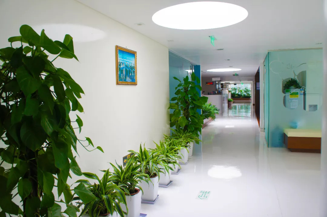 图说｜高“绿”预警！揭秘和睦家启望中心的8个绿色“心机”