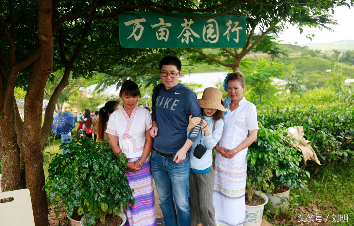 蚂蚁旅游专线云南之旅,蚂蚁旅游行