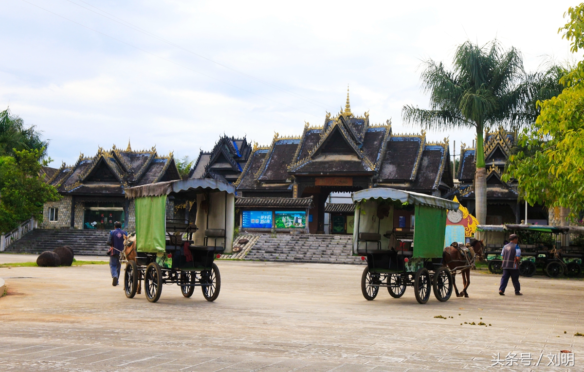 蚂蚁旅游专线云南之旅,蚂蚁旅游行