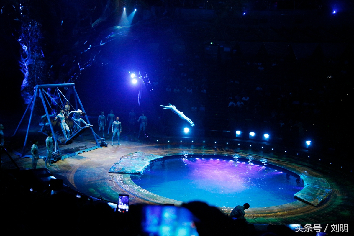 蚂蚁旅游专线云南之旅,蚂蚁旅游行