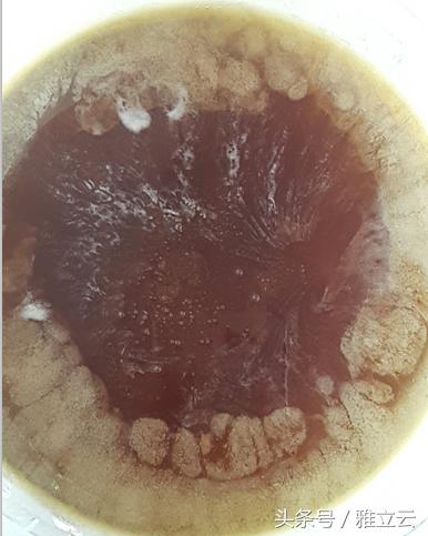 取野蜂蜜十年经验的我深究野蜂蜜的固有特征，让你买蜜不发愁