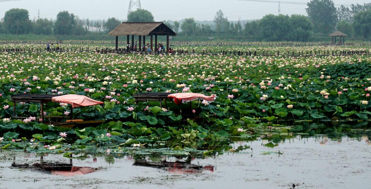 淮南旅游团二日游旅游景点推荐,安徽淮南有啥好玩地方