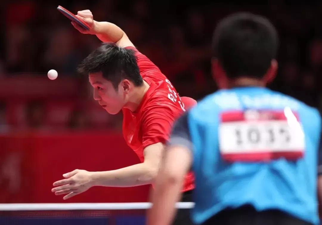 喜报全国荣誉,喜报我区运动员再获世界冠军