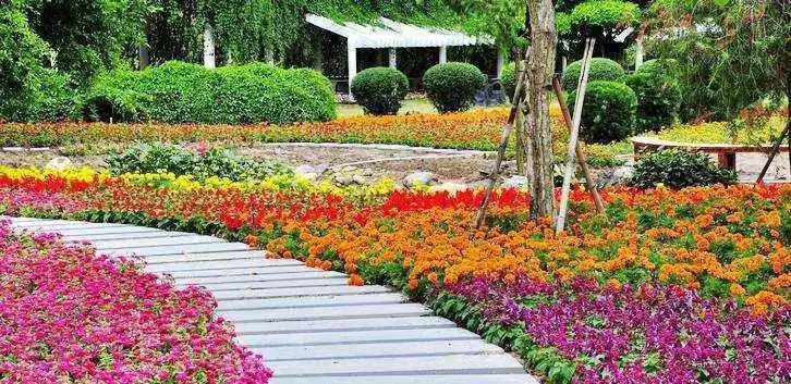 国庆漳州有哪些好玩的地方,漳州国庆打卡景点