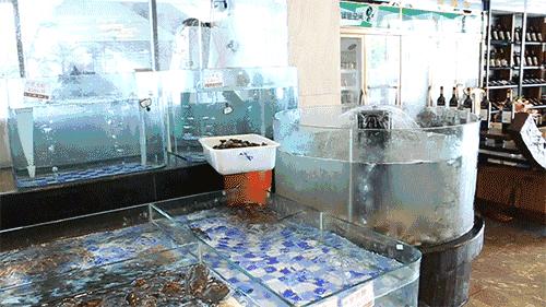 珠海海鲜餐厅湾仔店,珠海最出名的海边海鲜餐厅