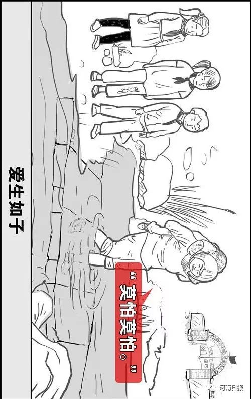 岭上开遍映山红杜鹃花剪辑版,岭上开遍映山红图片