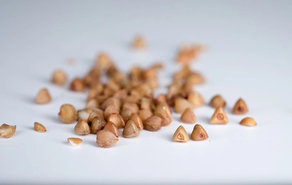 枕苦荞麦枕头起疙瘩是什么原因,荞麦枕睡了脸痒