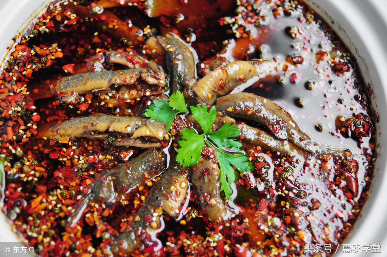 农村小溪常见的5种野生鱼,农村生活最常见的鱼