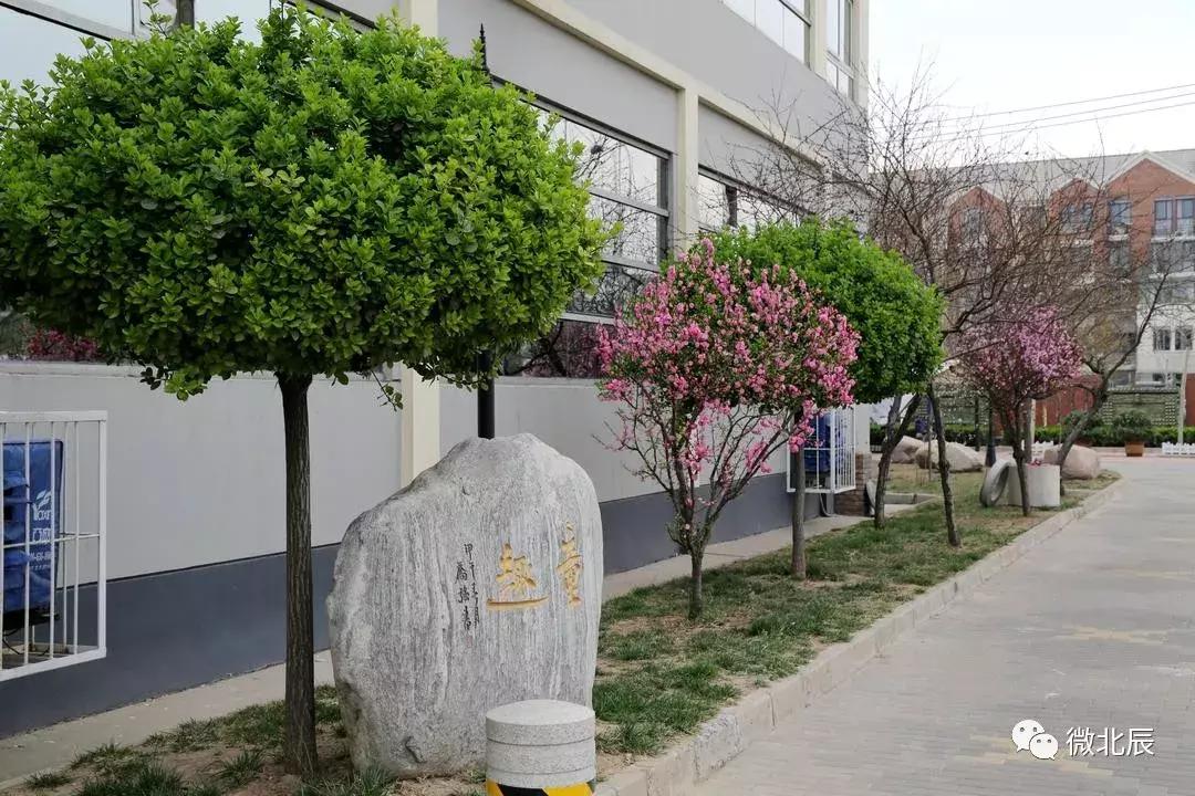 北辰区最好的学校,北辰再添一所优质学校