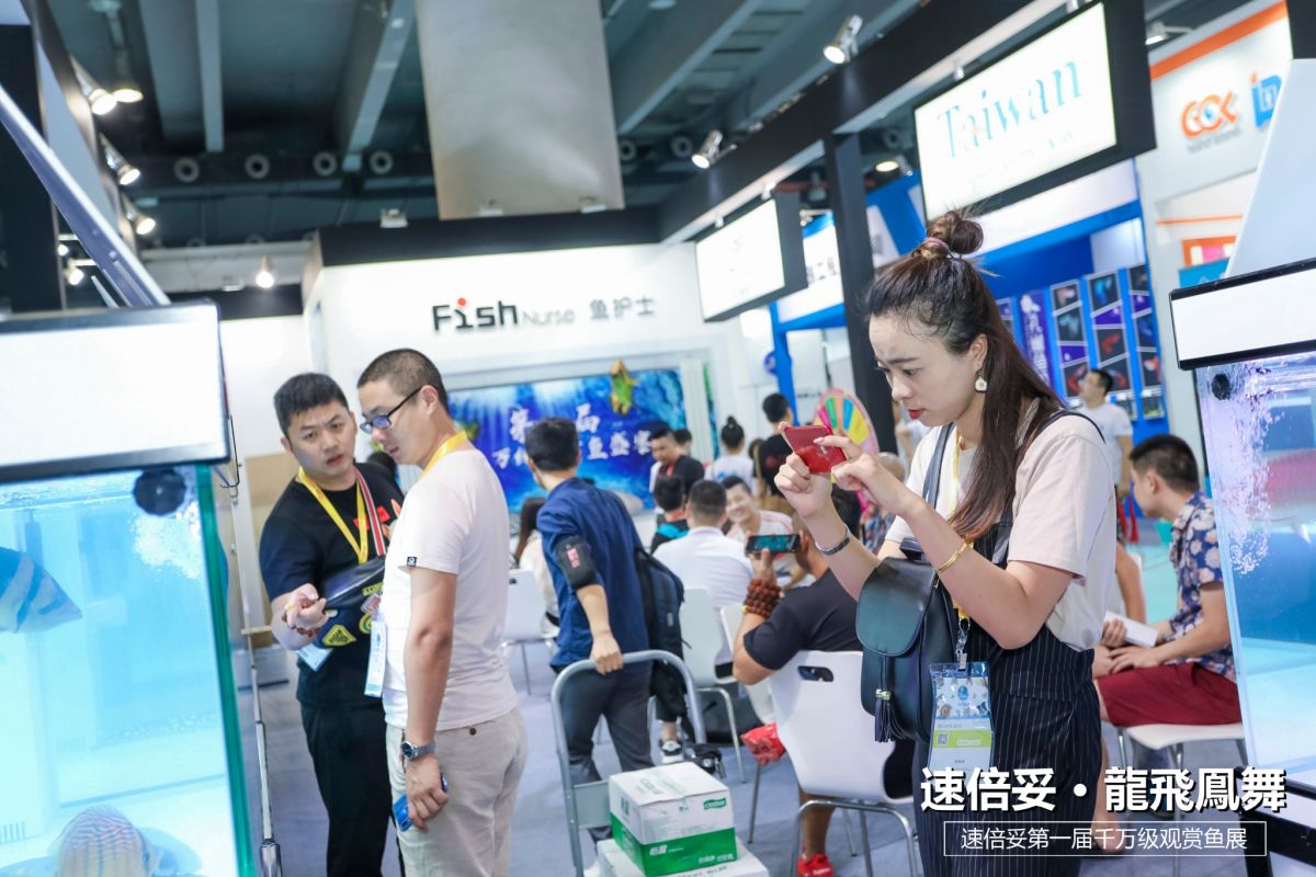 十大顶级巨型观赏鱼视频播放,顶级观赏鱼高清全屏视频