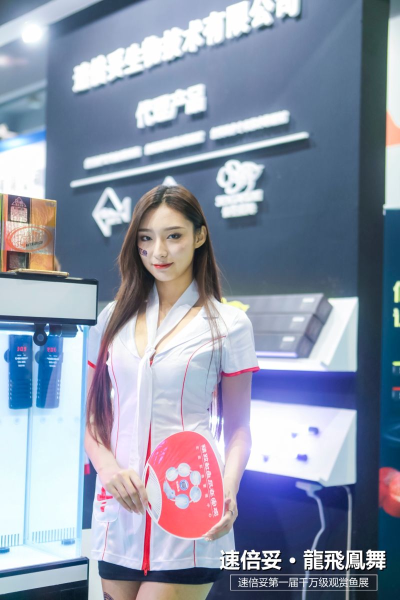 十大顶级巨型观赏鱼视频播放,顶级观赏鱼高清全屏视频