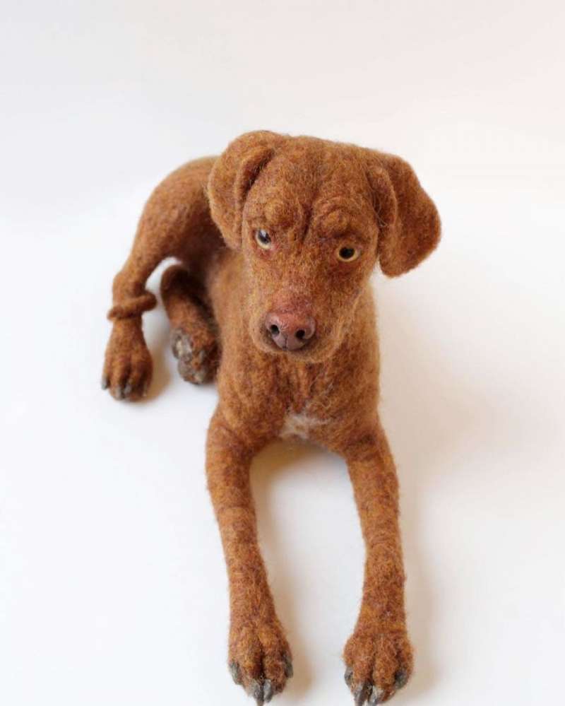 第一眼竟然以为它会动！26个好像有灵魂附体的拟真羊毛毡