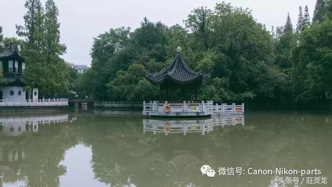 尼康d850怎么样,尼康d850手机怎么样