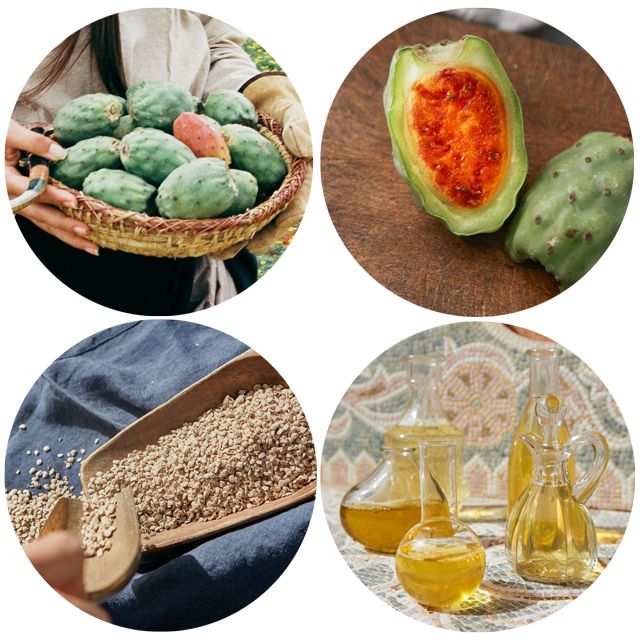 大干皮急救面膜,仙人掌保湿护肤面膜测评